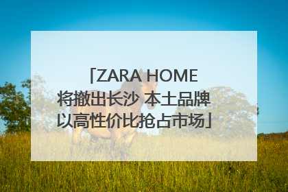ZARA HOME将撤出长沙 本土品牌以高性价比抢占市场